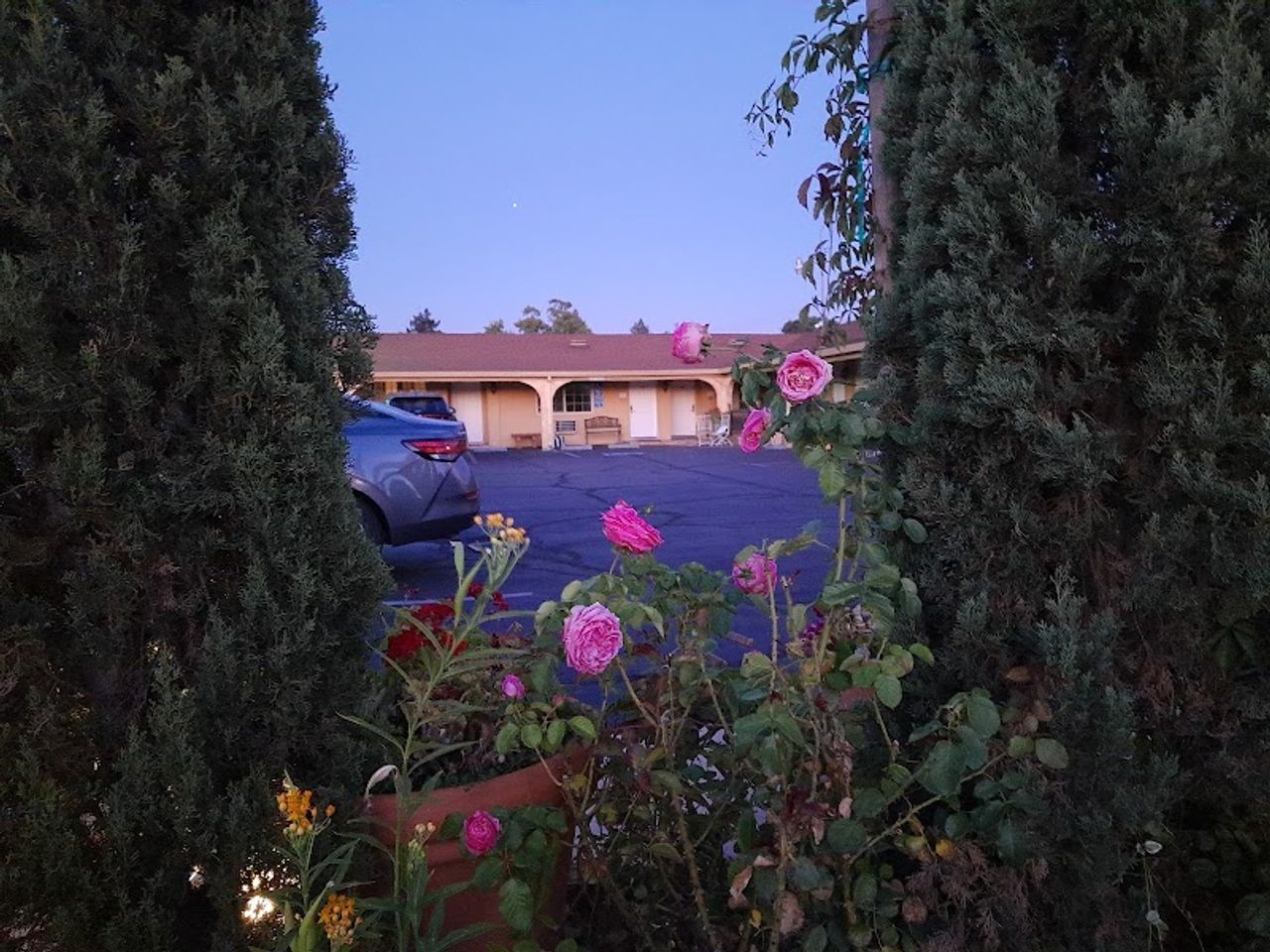 Photo of Chardonnay Lodge