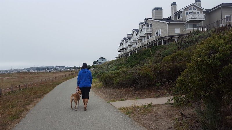 Photo of Beach House Hotel