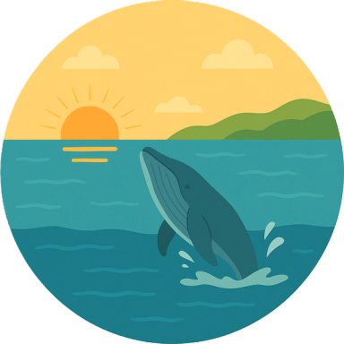 Whale Watching Tours