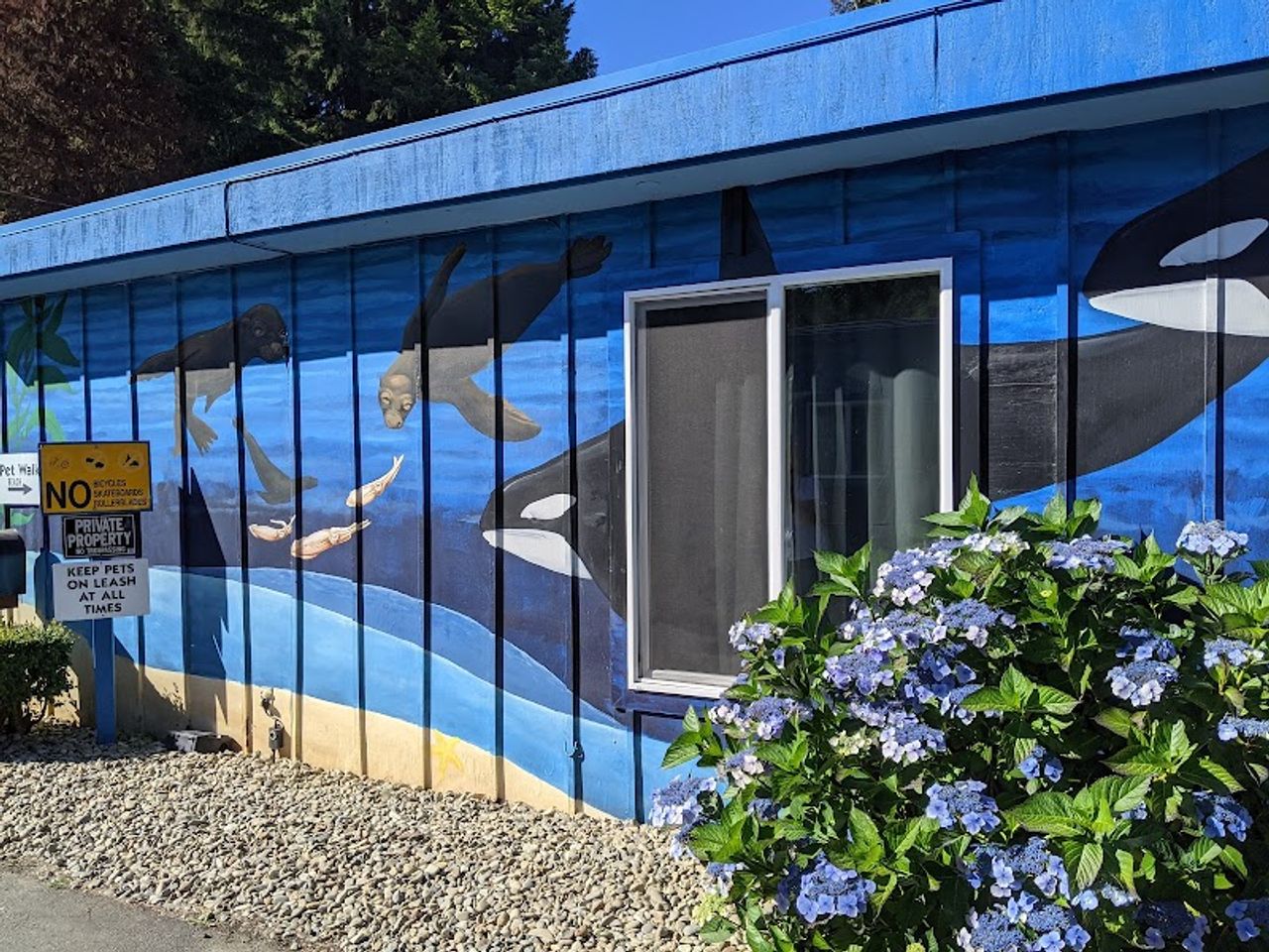 Photo of Plainview Motel & RV Park