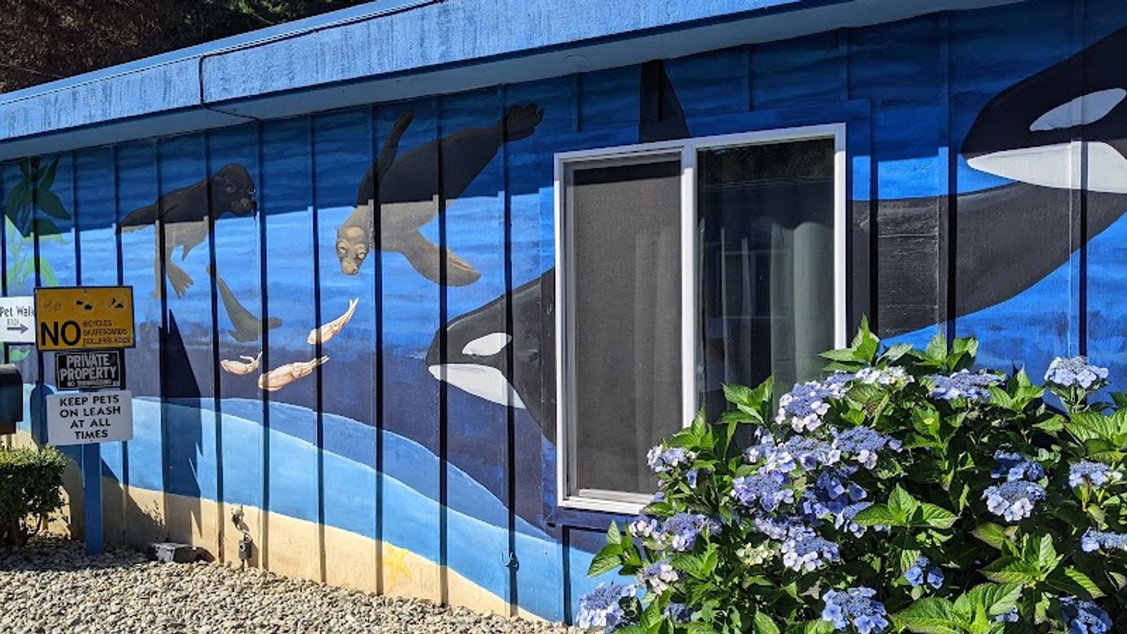 Photo of Plainview Motel & RV Park