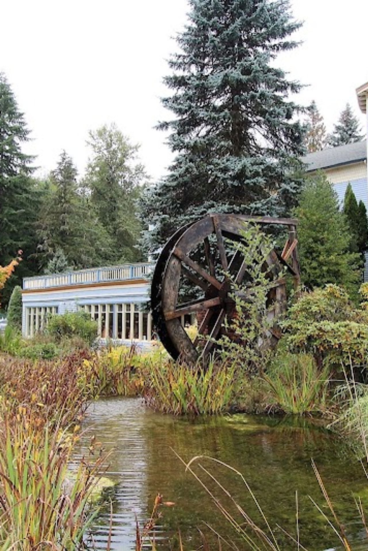 Photo of Alexander's Lodge At Mt Rainier