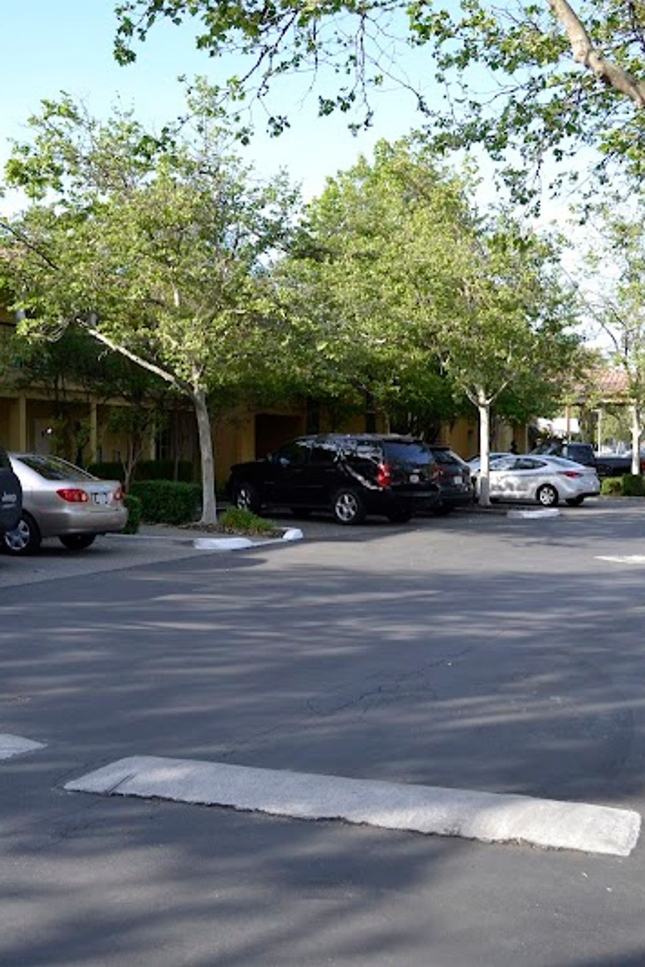 Photo of University Park Inn and Suites