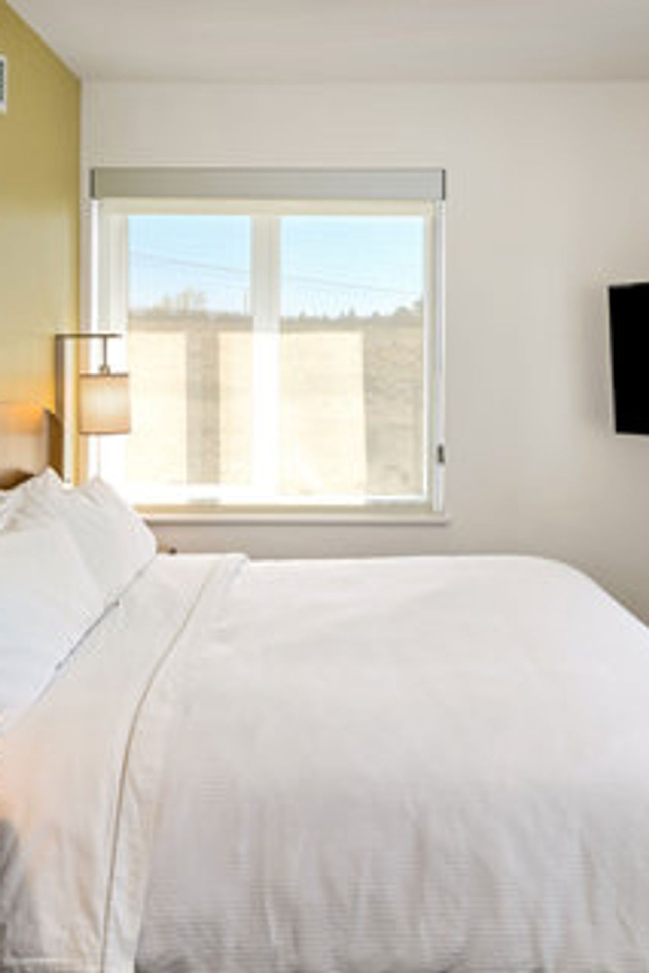 Photo of Element Bend
