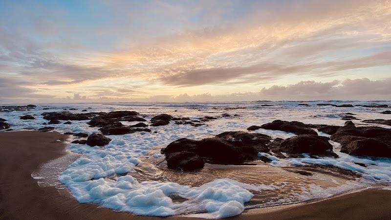 Photo of Seahorse Oceanfront Lodging