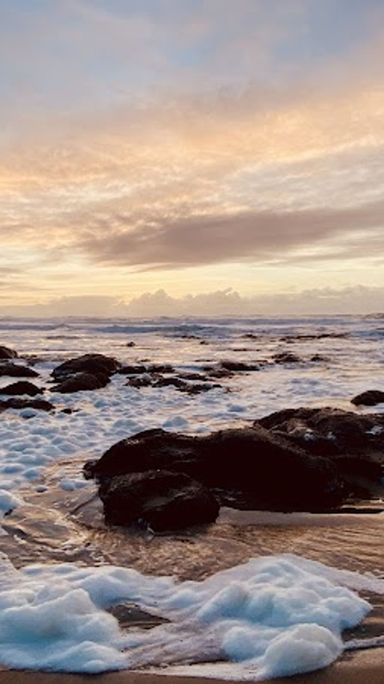Photo of Seahorse Oceanfront Lodging