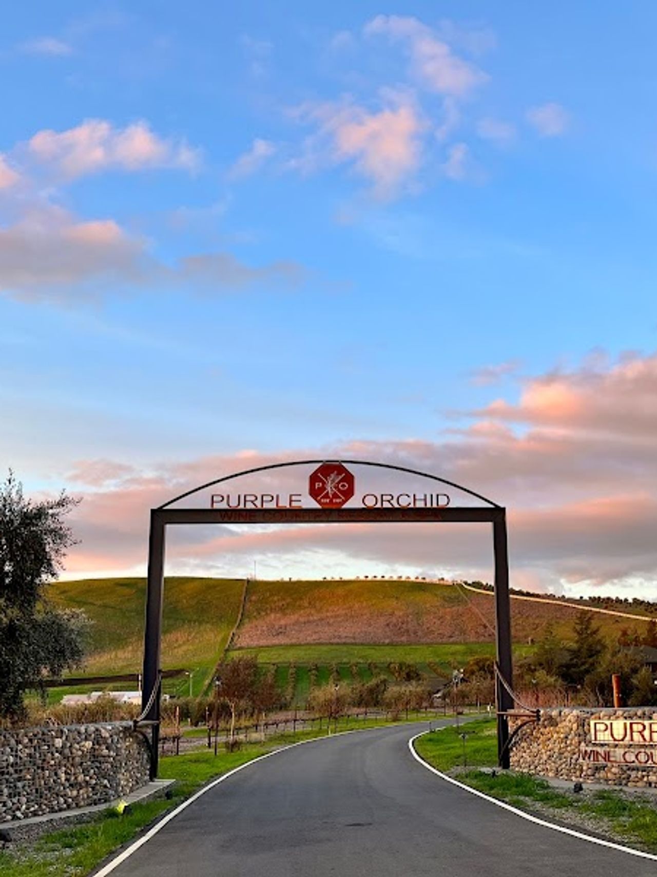 Photo of The Purple Orchid | Wine Country Resort & Spa