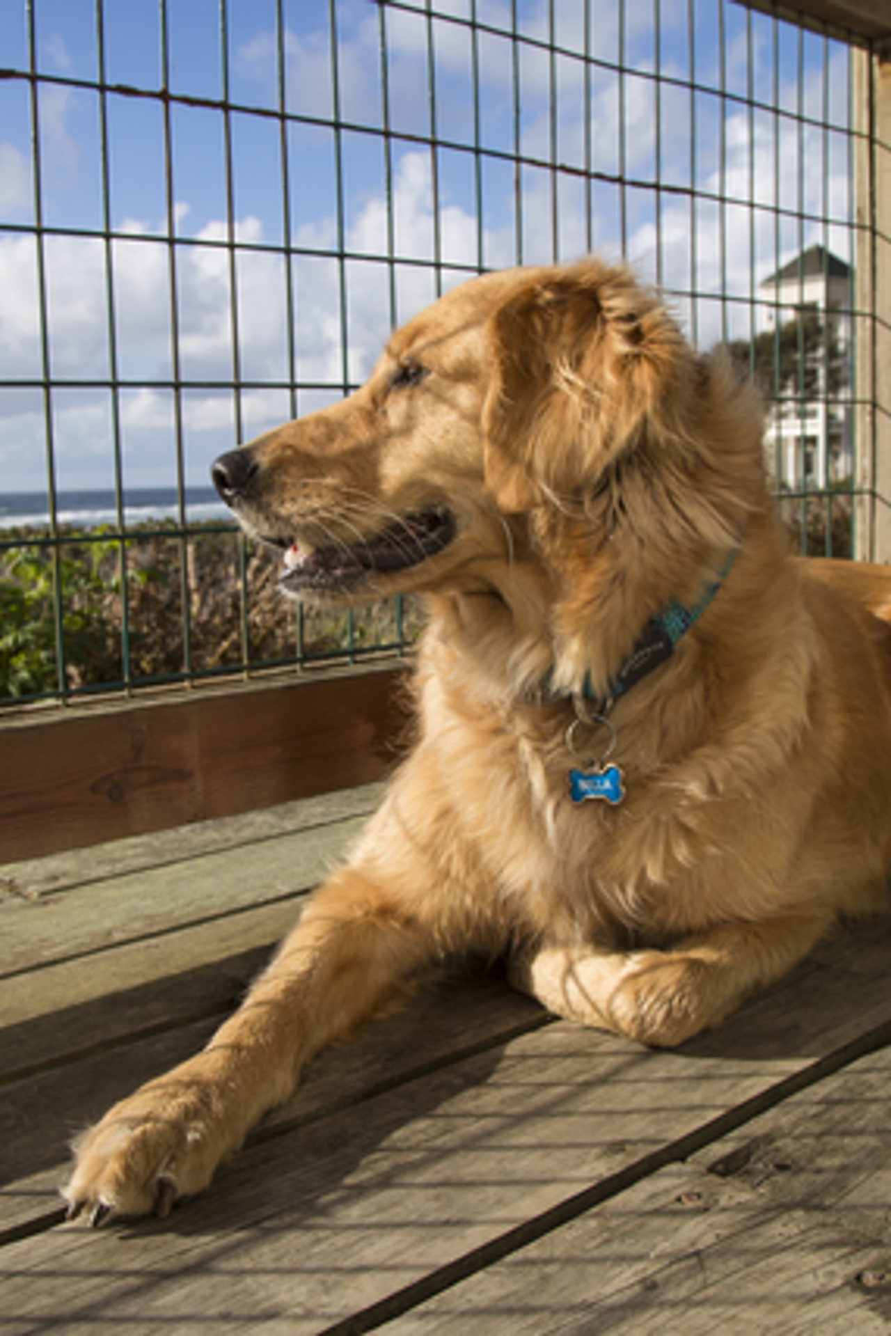 Photo of Fireside Motel - Pet-friendly