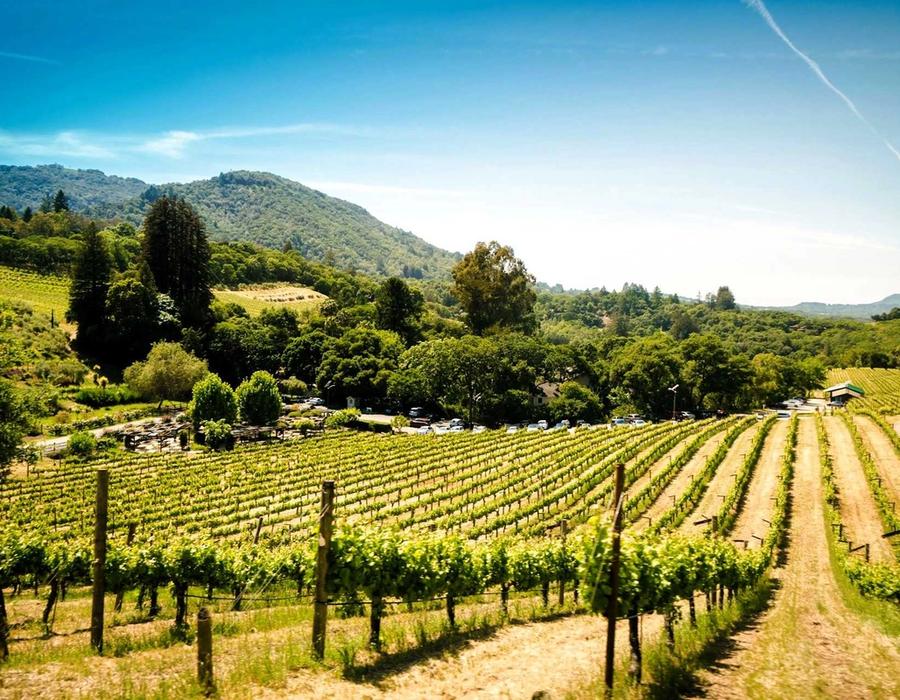 Sonoma, California, United States