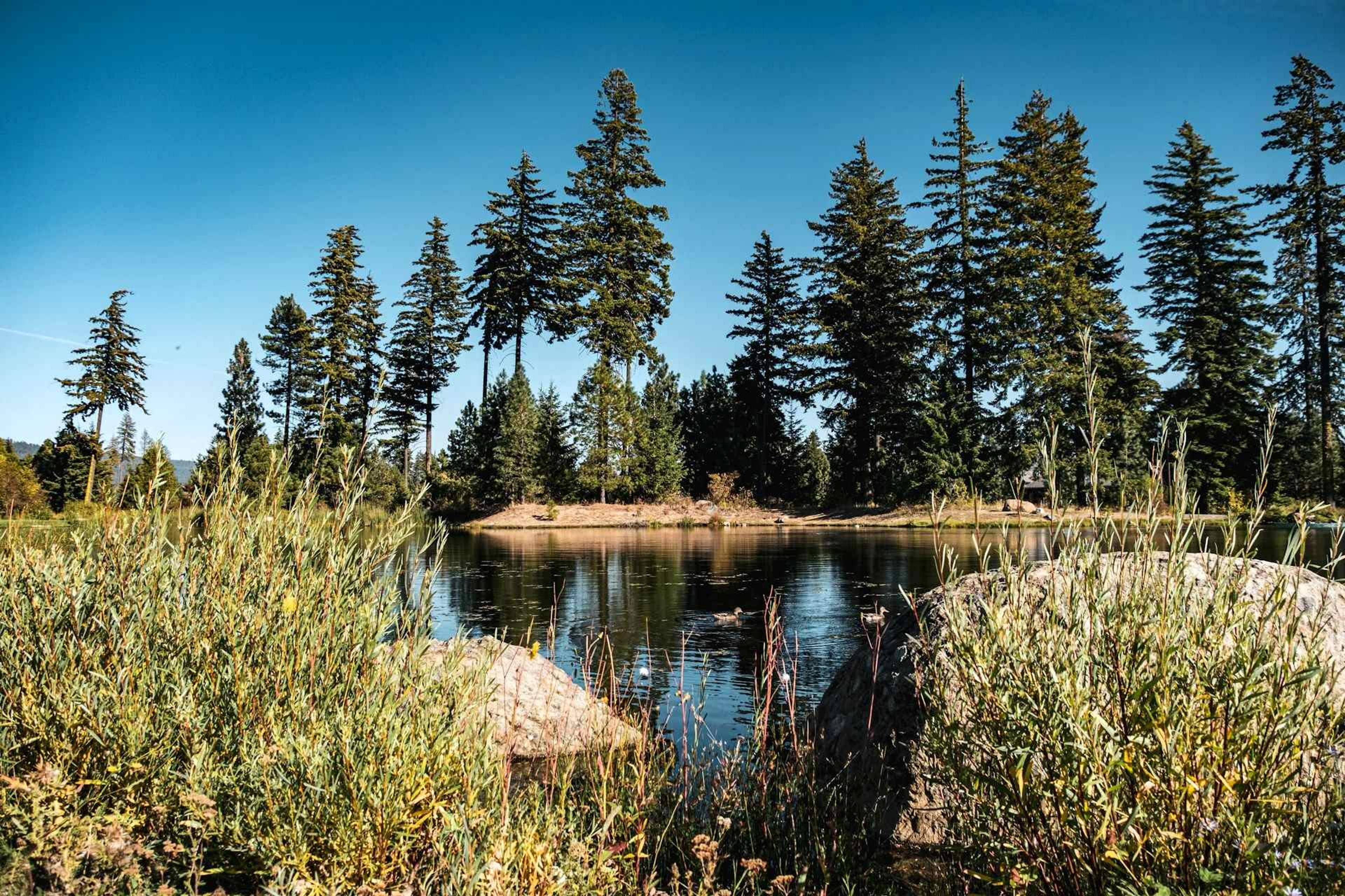 Suncadia Trail, Cle Elum, Washington, USA