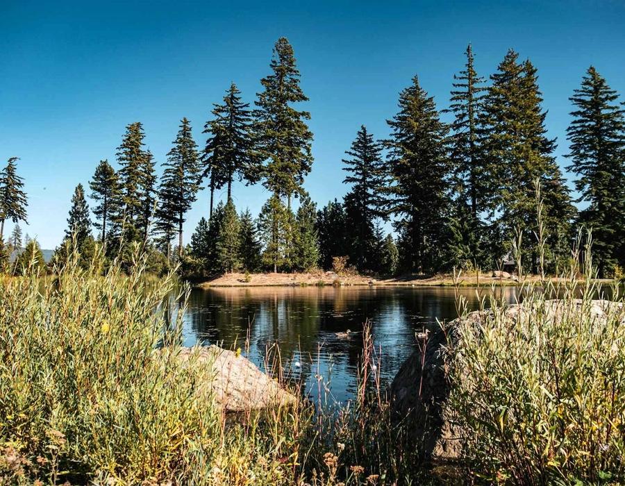 Suncadia Trail, Cle Elum, Washington, USA