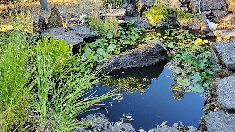 Photo of Sunset Motel