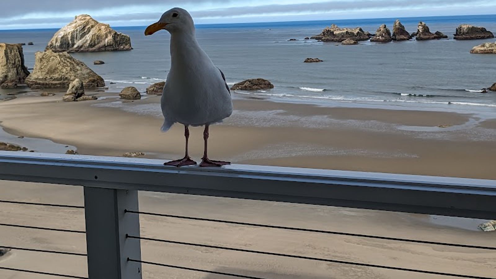 Photo of Sunset Oceanfront Lodging