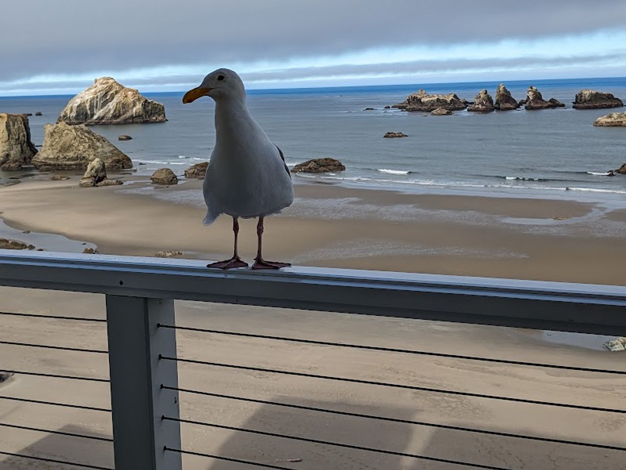 Photo of Sunset Oceanfront Lodging