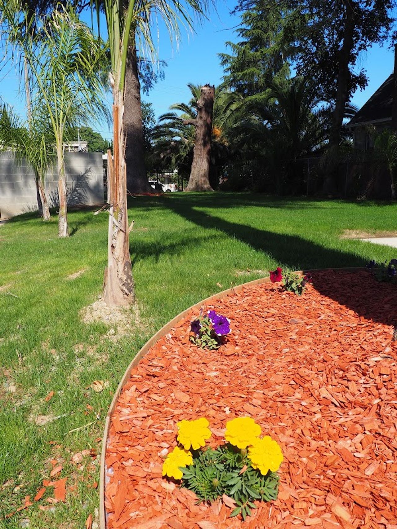 Photo of The Greens on Stockton Blvd.