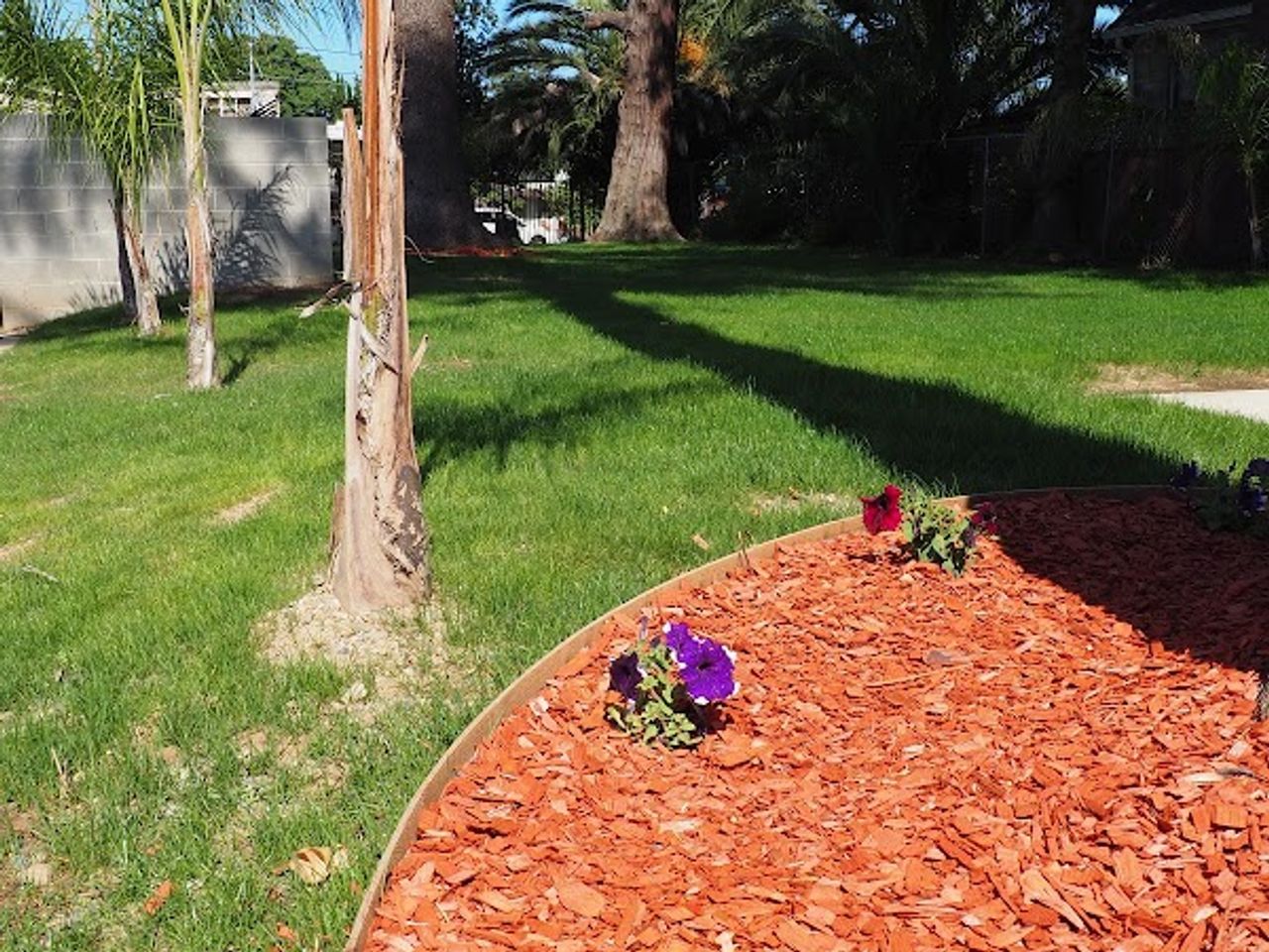 Photo of The Greens on Stockton Blvd.