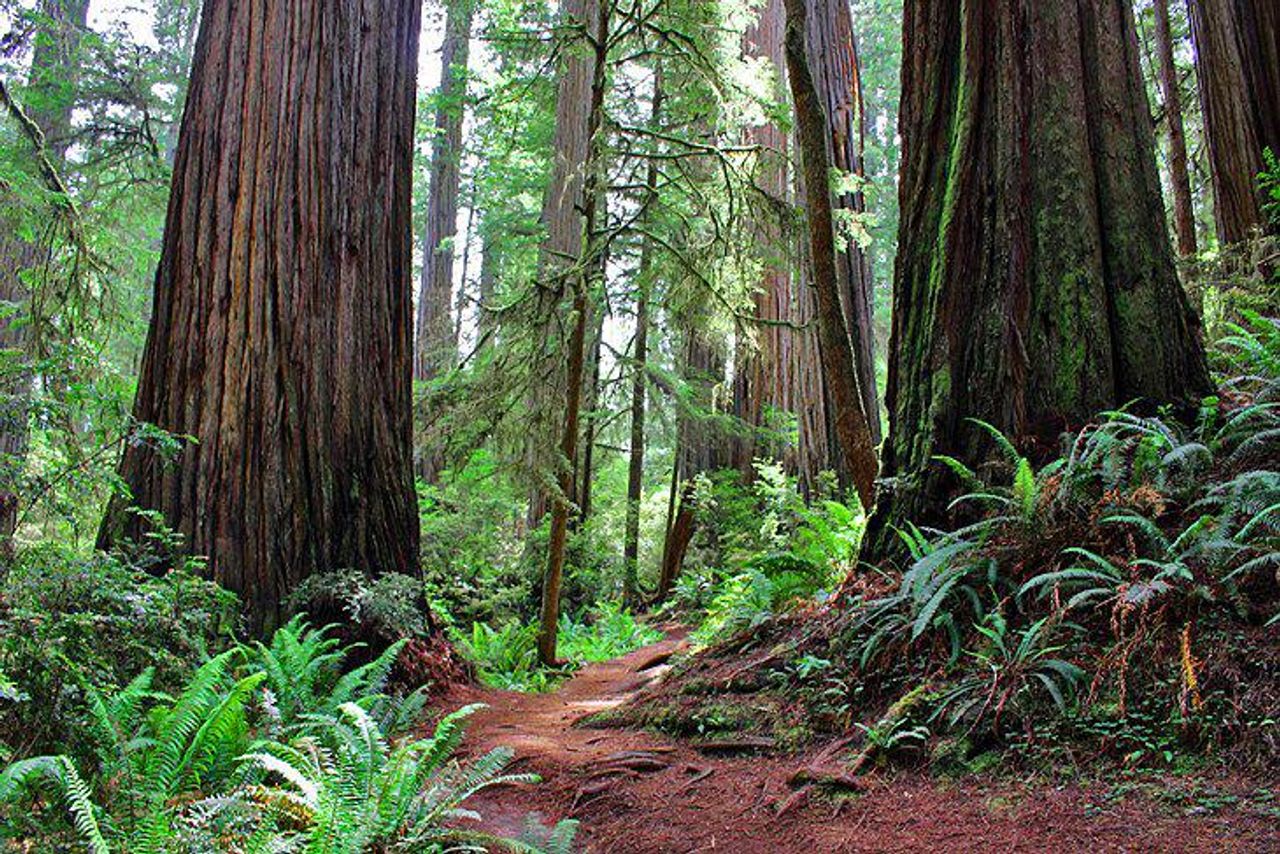 Photo of Nantucket Whale Inn, Half Moon Bay Hotel