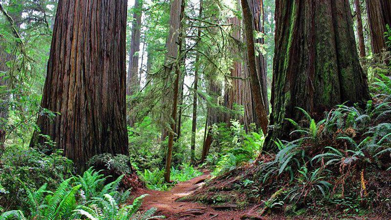 Photo of Nantucket Whale Inn, Half Moon Bay Hotel