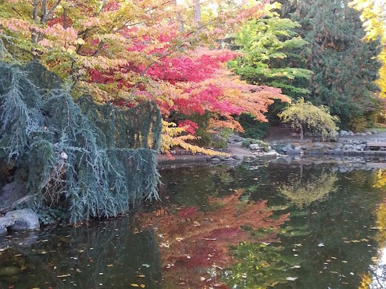 Photo of Ashland Carter House