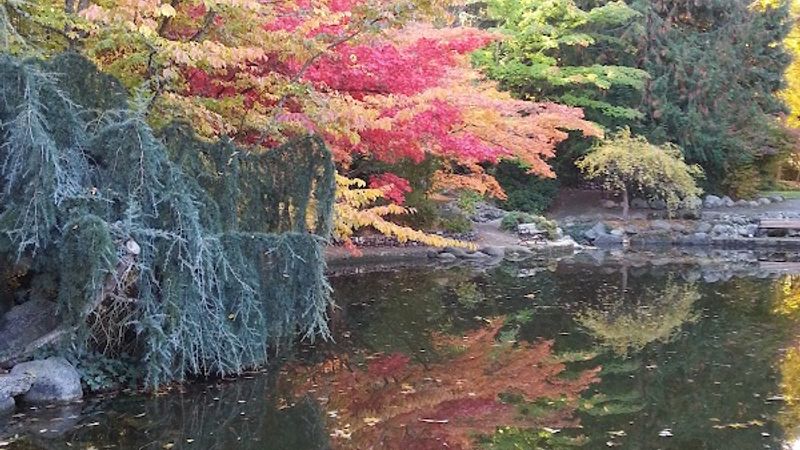 Photo of Ashland Carter House