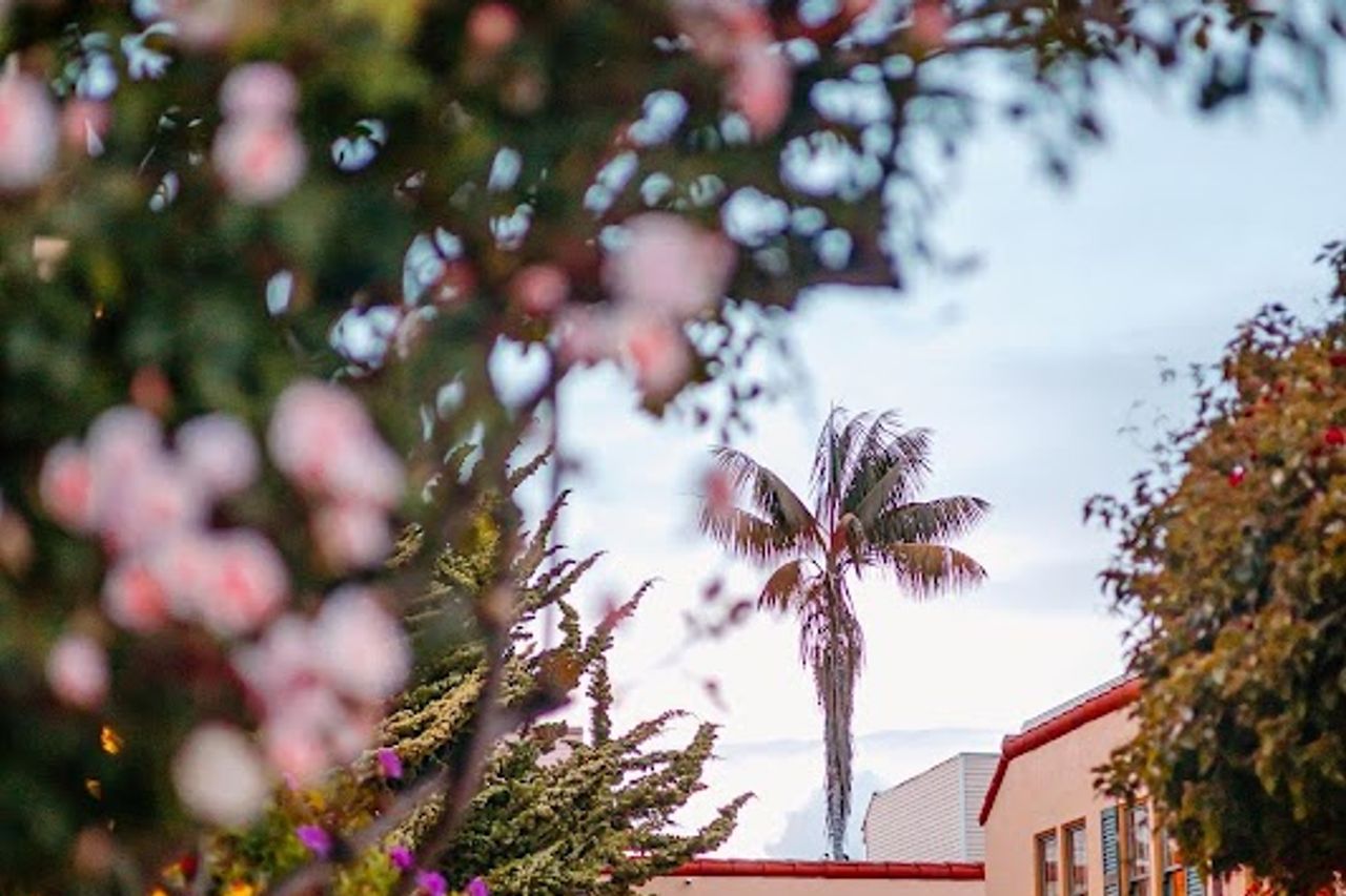 Photo of Marina Motel