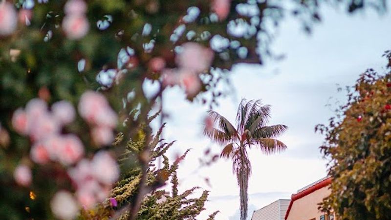 Photo of Marina Motel