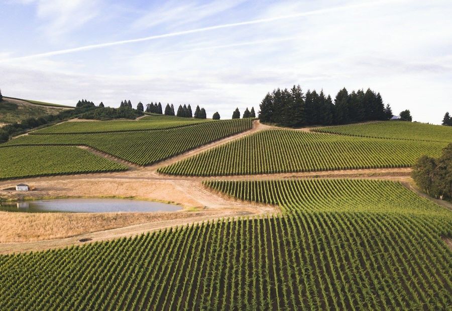 Countryside Lodges in Oregon