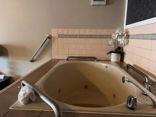 Photo of Golden Haven Spa LLC