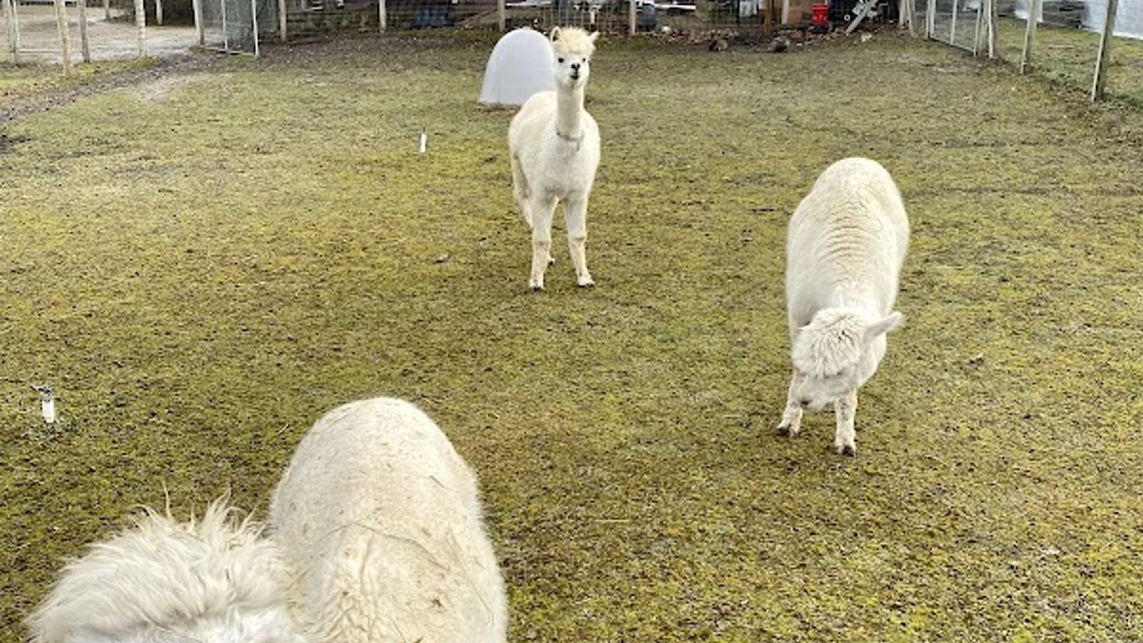 Photo of Rellik Winery