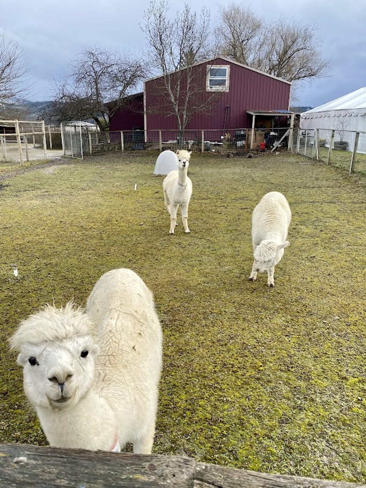 Photo of Rellik Winery