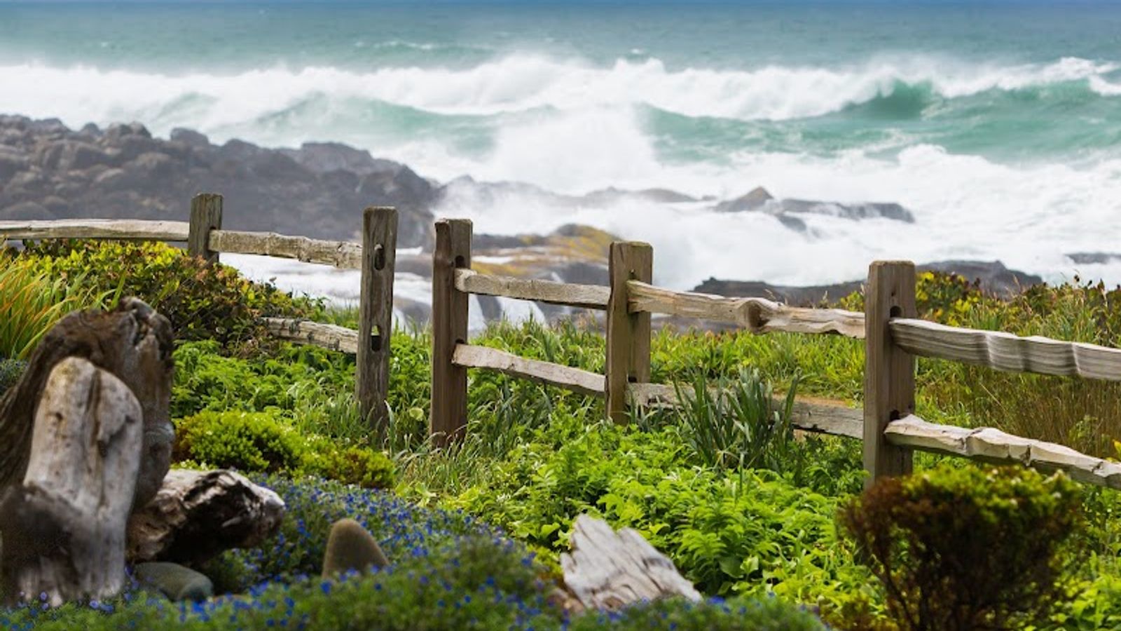 Photo of Fireside Motel