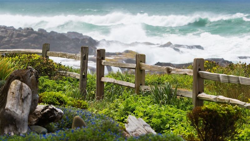 Photo of Fireside Motel