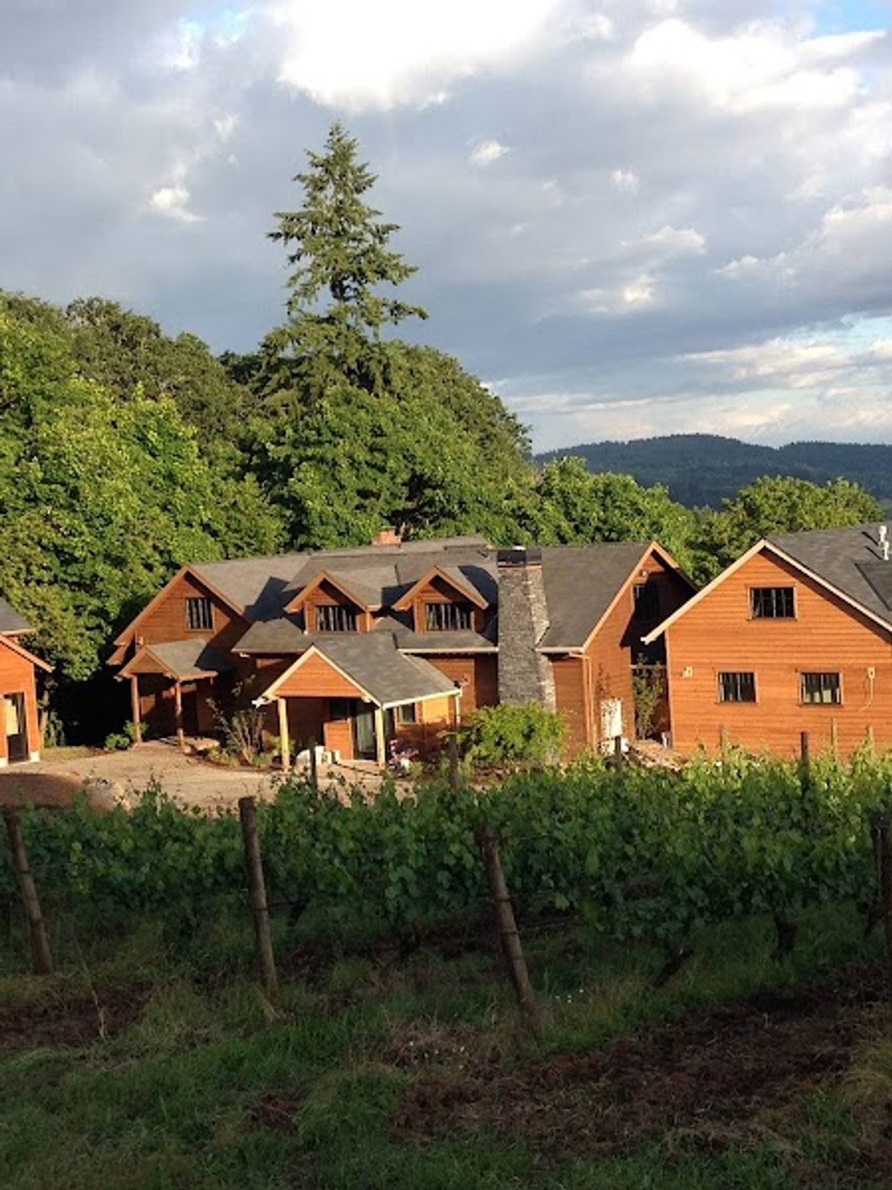 Photo of Vineyard View Inn