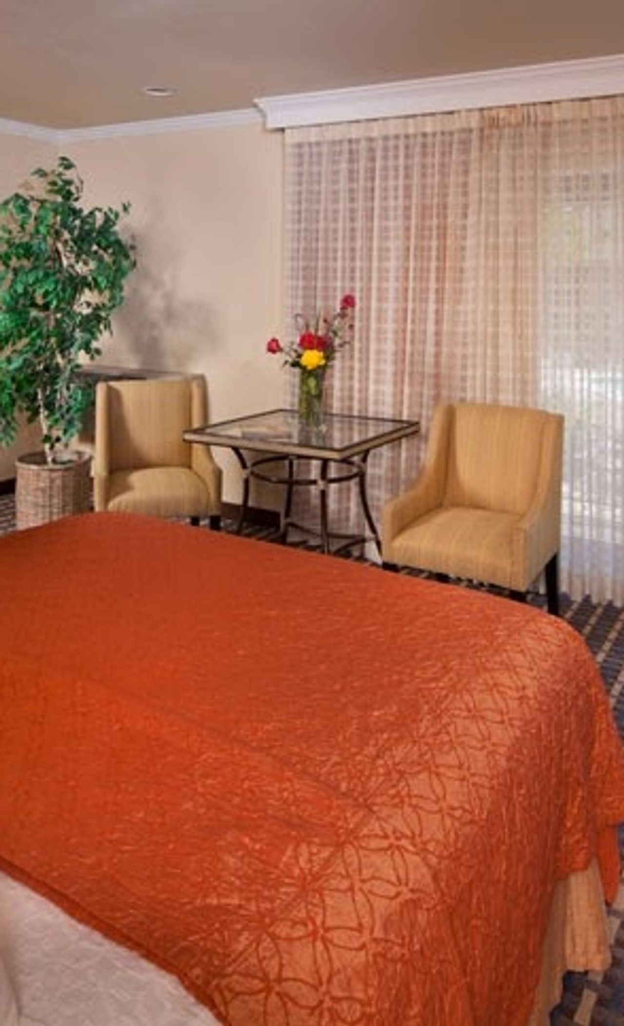 Photo of Best Western Garden Inn