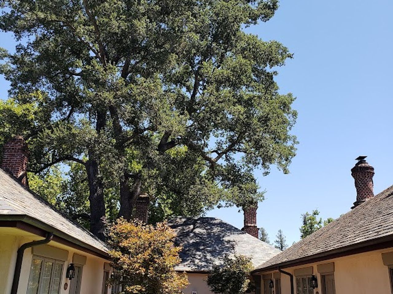 Photo of Vineyard Country Inn