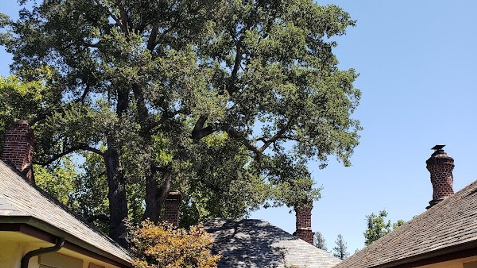 Photo of Vineyard Country Inn