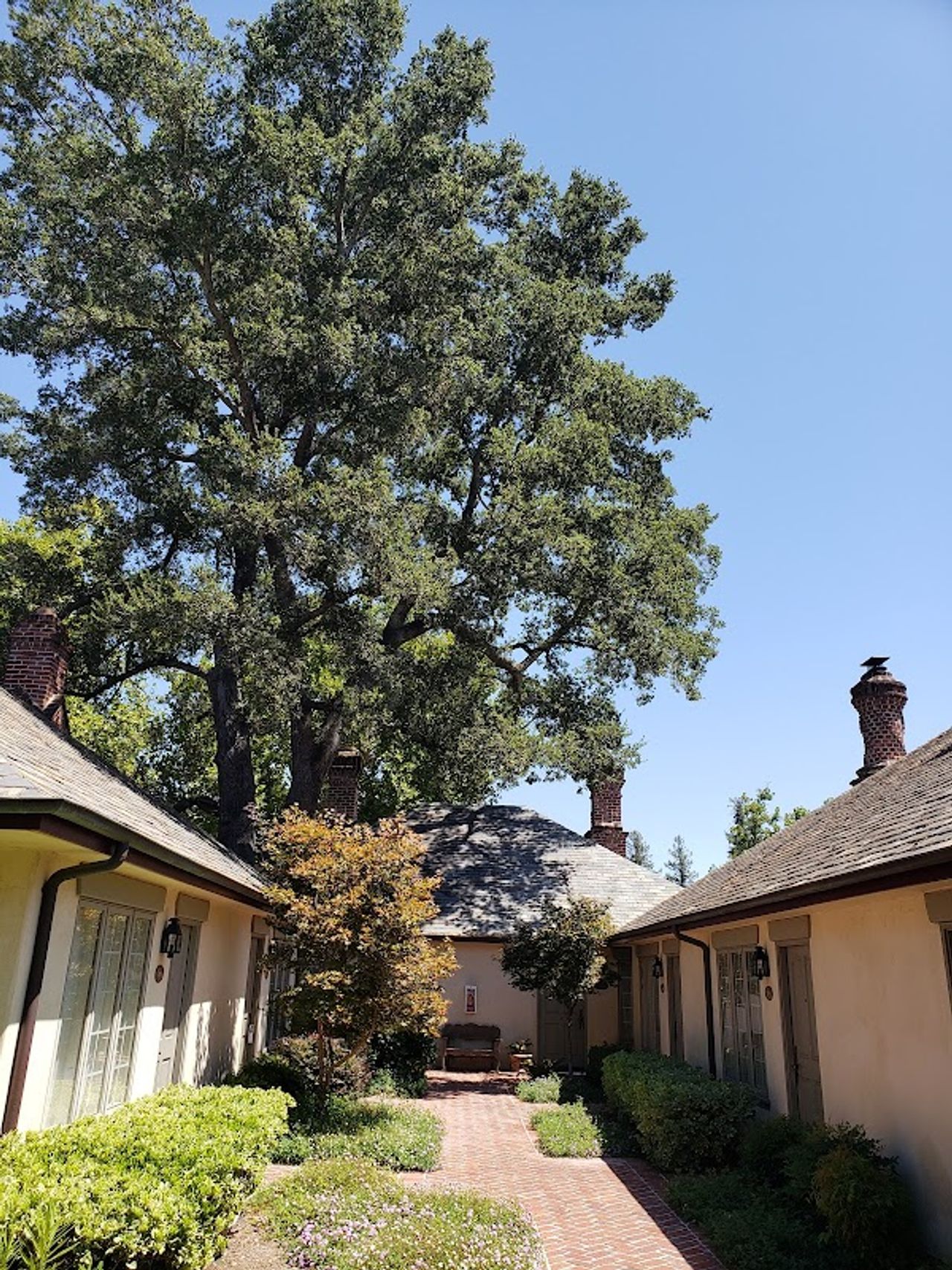 Photo of Vineyard Country Inn