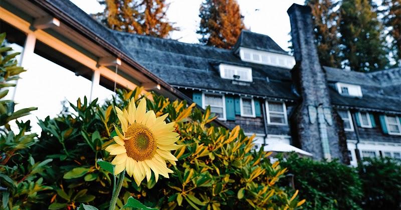 Photo of Lake Quinault Lodge