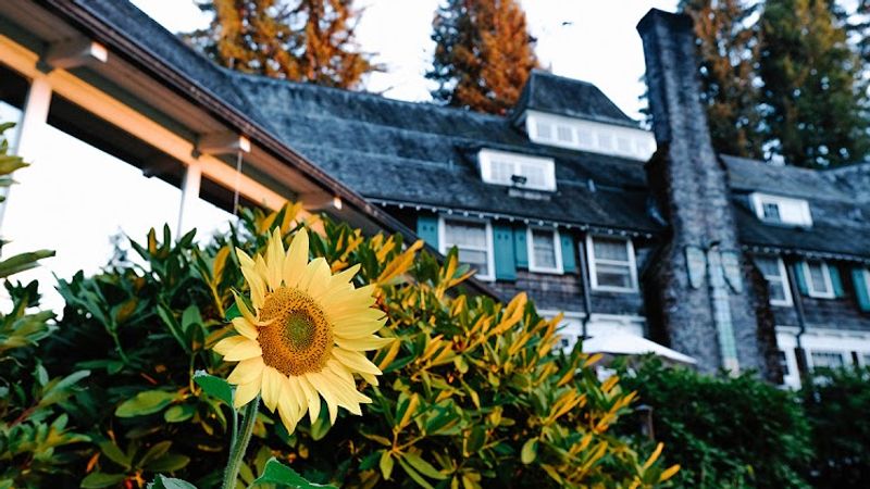 Photo of Lake Quinault Lodge