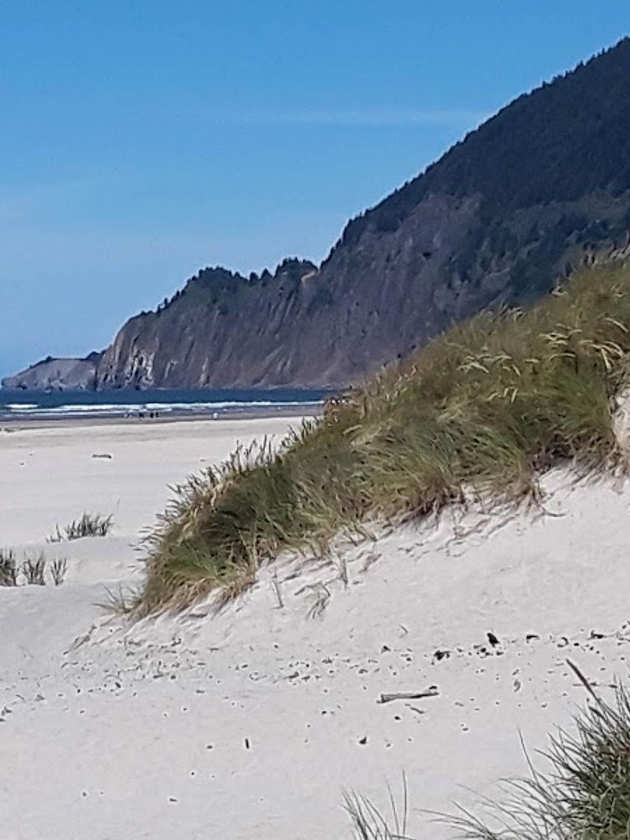 Photo of Inn at Manzanita