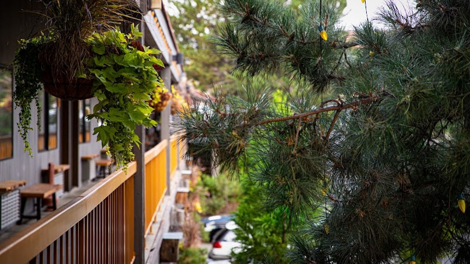 Photo of Campfire Hotel