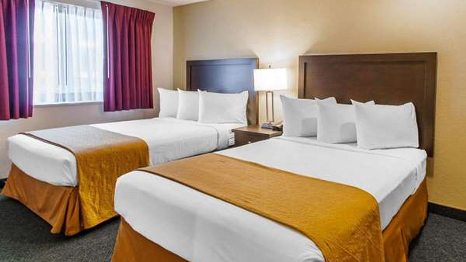 Photo of Quality Inn & Suites - Room, 2 Queen beds