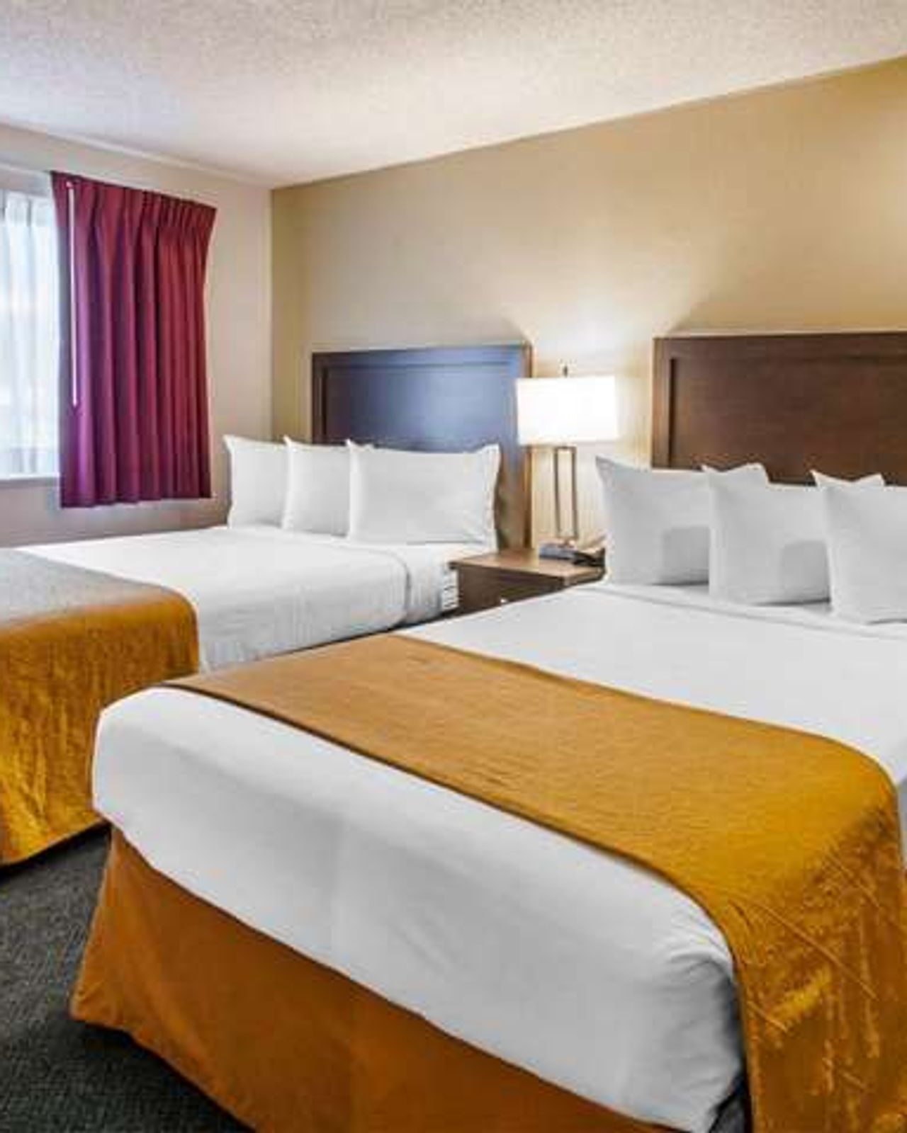 Photo of Quality Inn & Suites - Room, 2 Queen beds