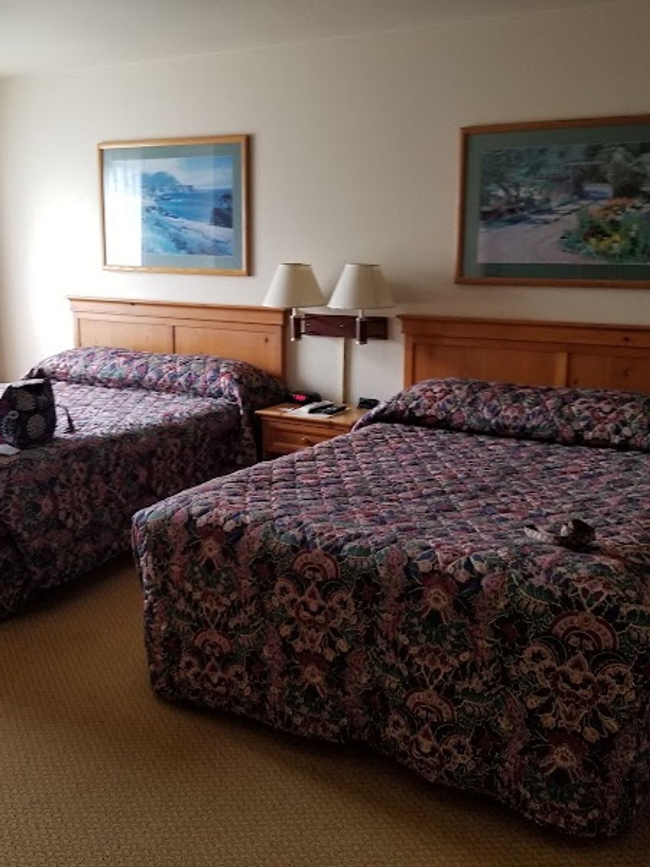 Photo of Pacific Gardens Inn - Room, 2 Queen beds