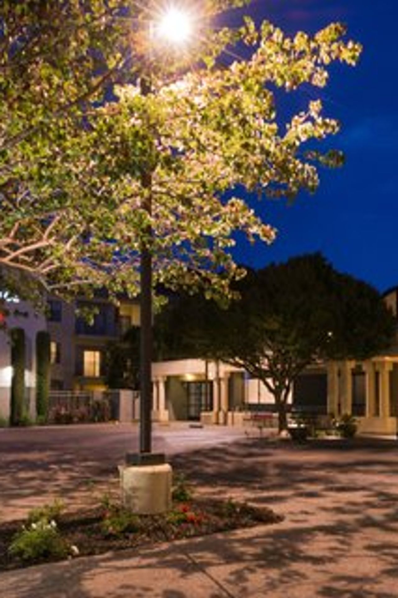 Photo of Residence Inn Palo Alto Menlo Park