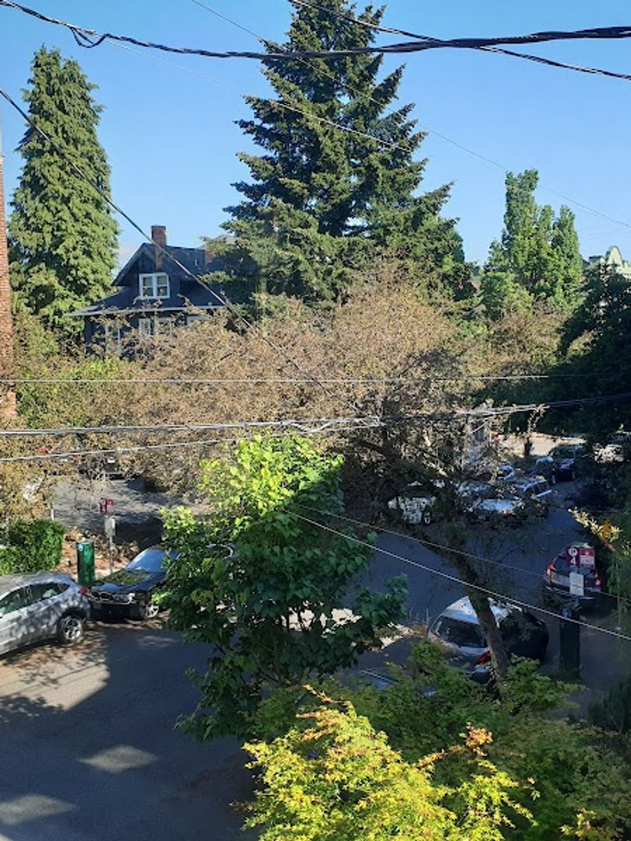 Photo of Portland International Guesthouse