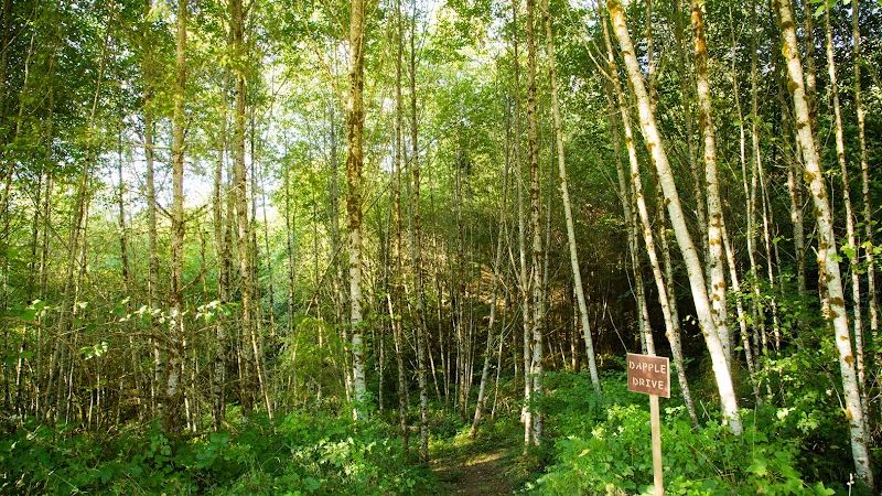 Photo of Thousand Trails Chehalis