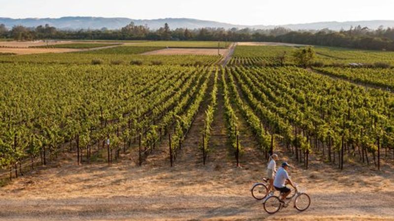 Photo of The Lodge at Sonoma Resort, Autograph Collection