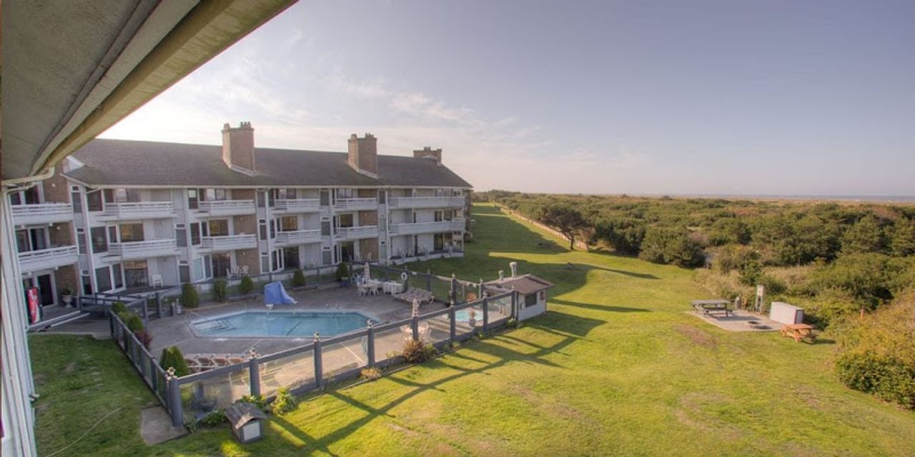 Photo of The Grey Gull