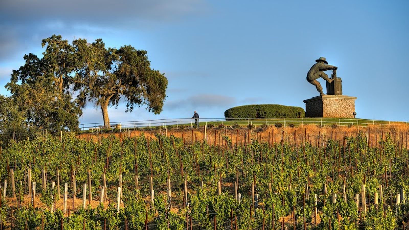 Photo of Meritage Resort And Spa